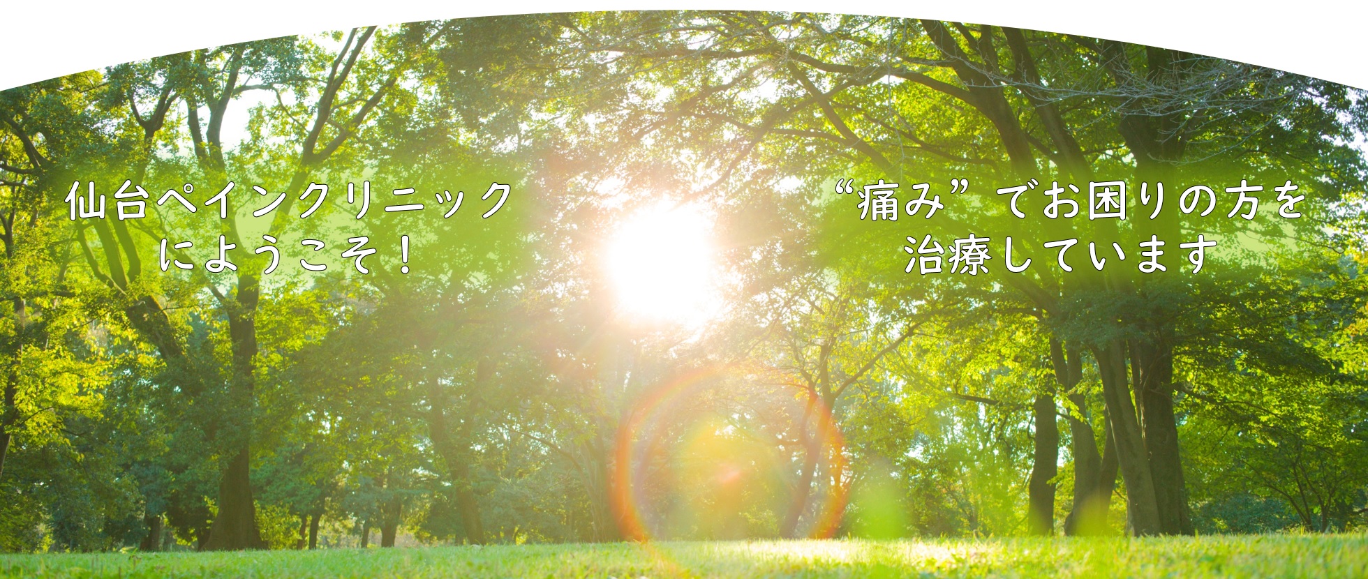 仙台ペインクリニック トップ